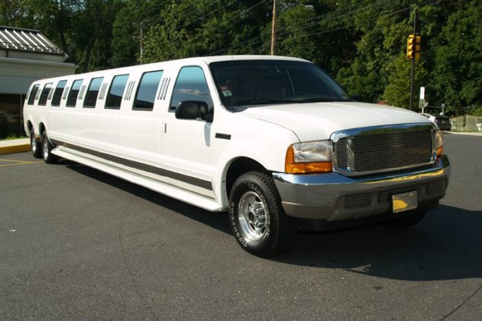 Excursion Limo